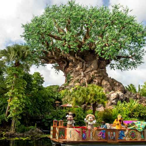 disney's animal kingdom